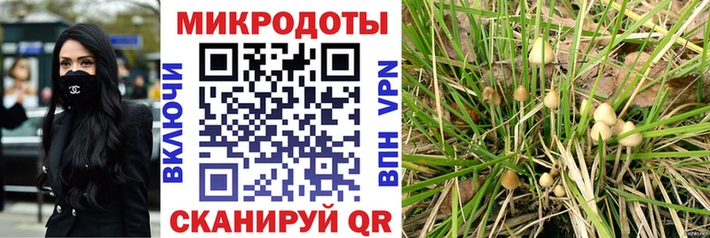 это наркотические препараты  Питкяранта  Галлюциногенные грибы прущие грибы  магазин  наркотиков 
